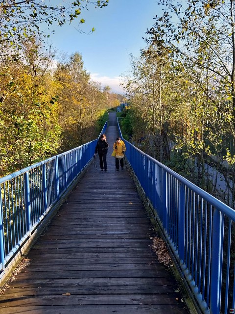 img00010.jpg