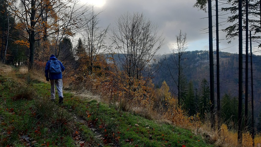 img00011.jpg