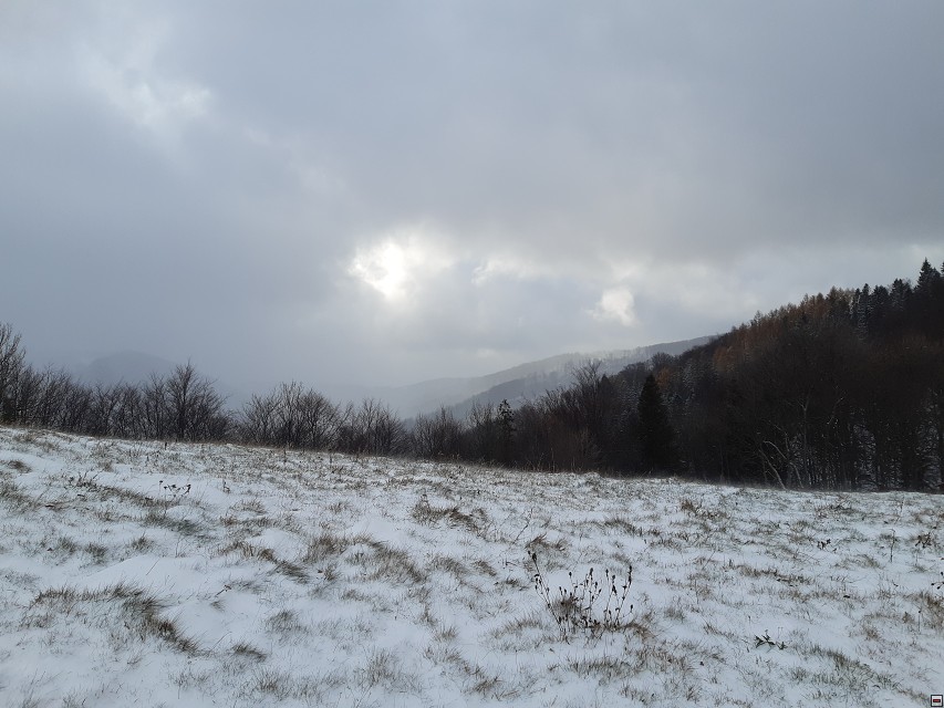 img00011.jpg