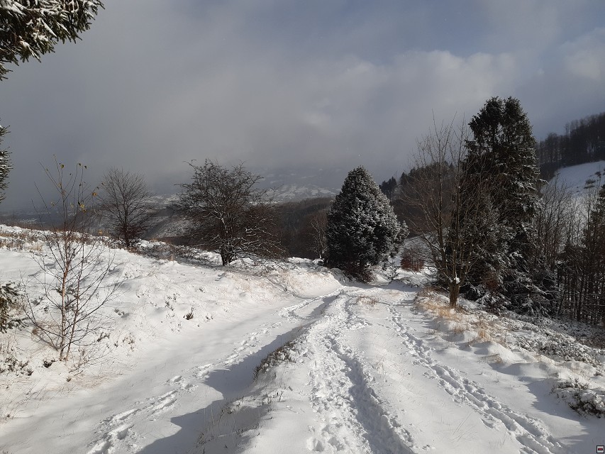img00015.jpg