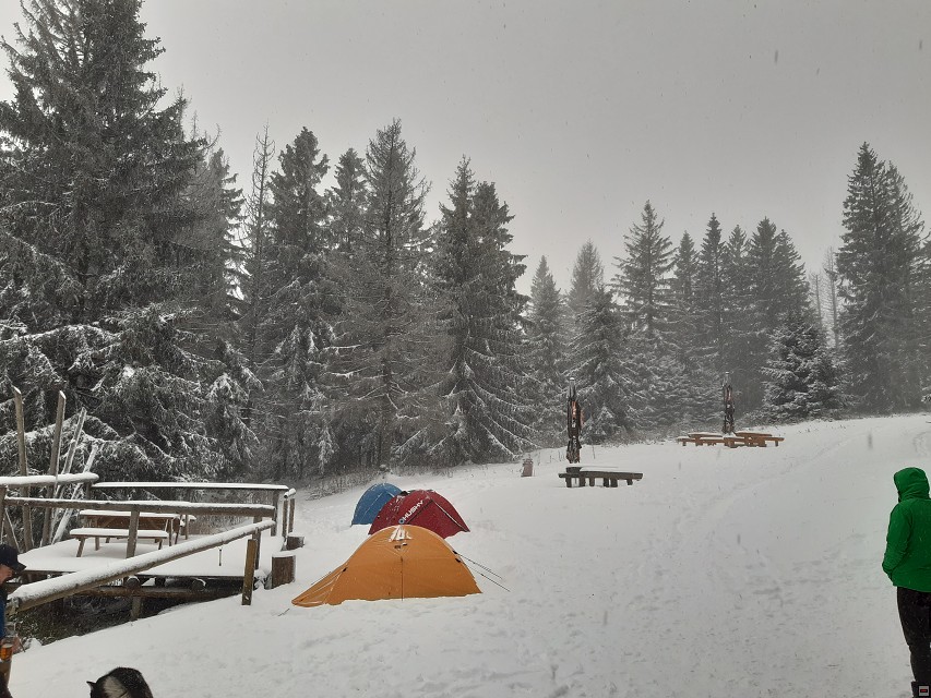 img00020.jpg