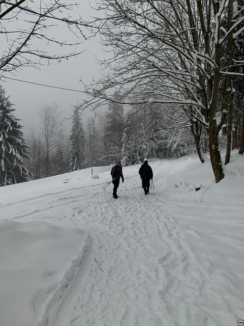 img00006.jpg