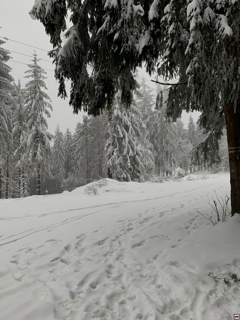 img00008.jpg