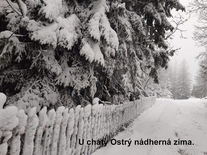 img00006.jpg