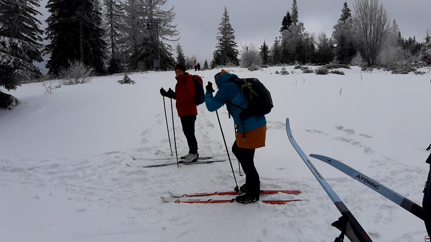 img00006.jpg