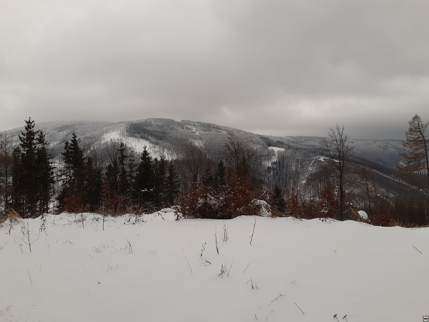 img00010.jpg