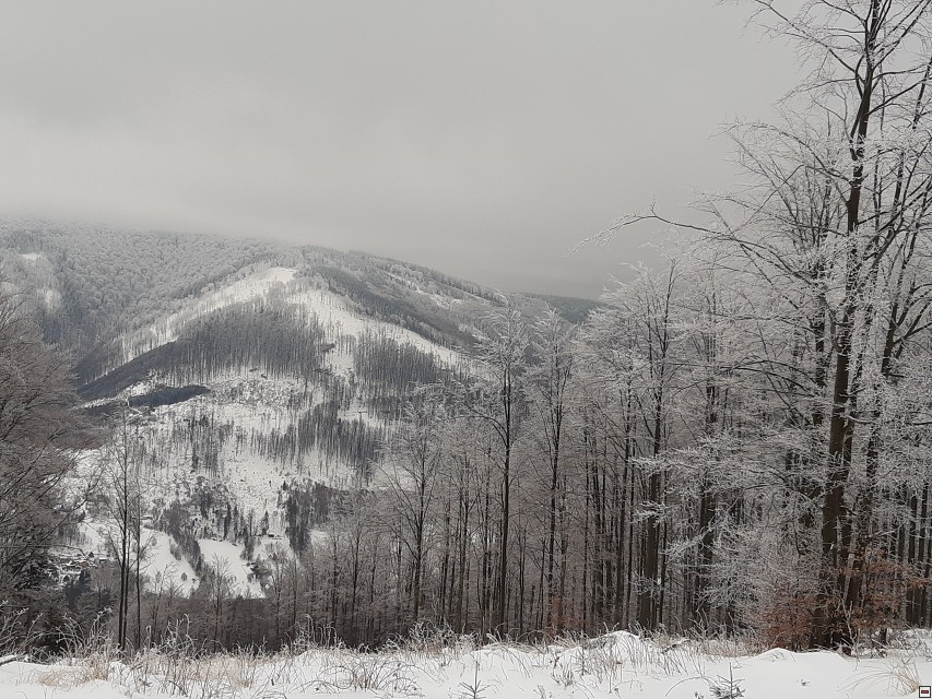 img00011.jpg