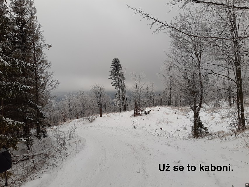 img00029.jpg