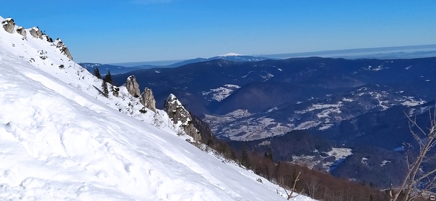 img00011.jpg