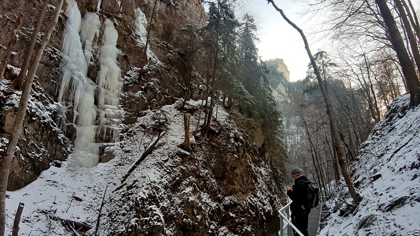 img00031.jpg