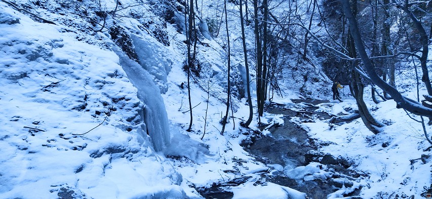 img00032.jpg