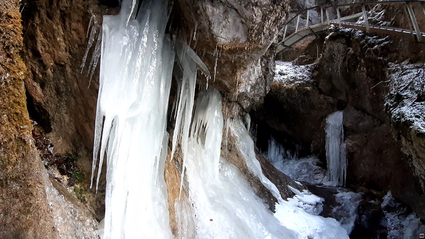 img00037.jpg