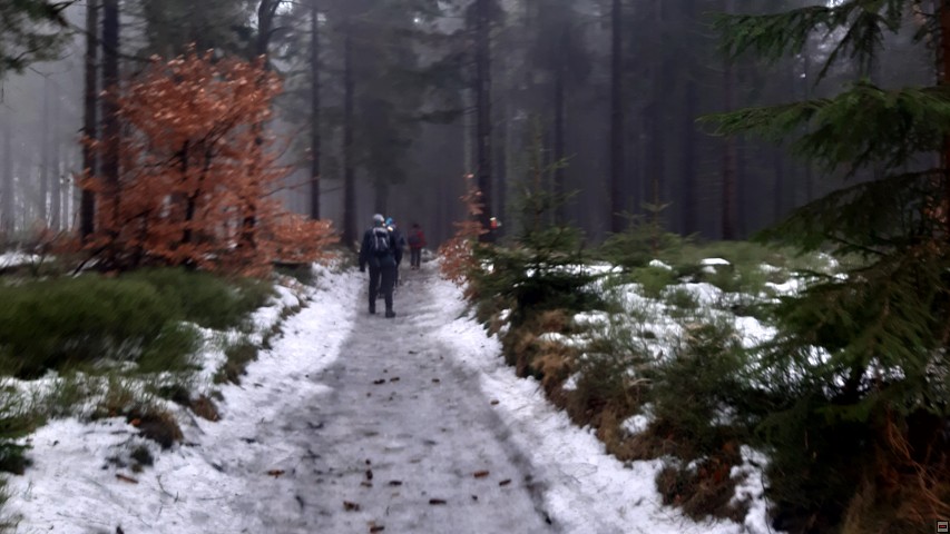 img00003.jpg