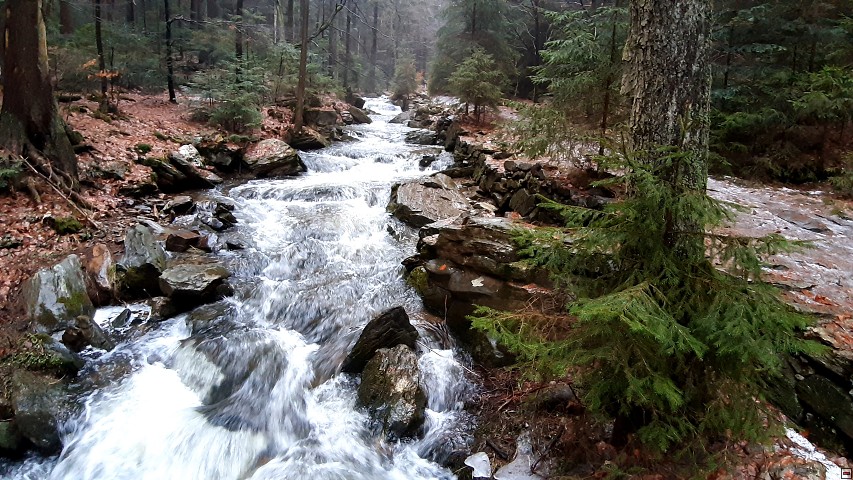 img00016.jpg