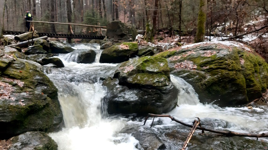 img00017.jpg