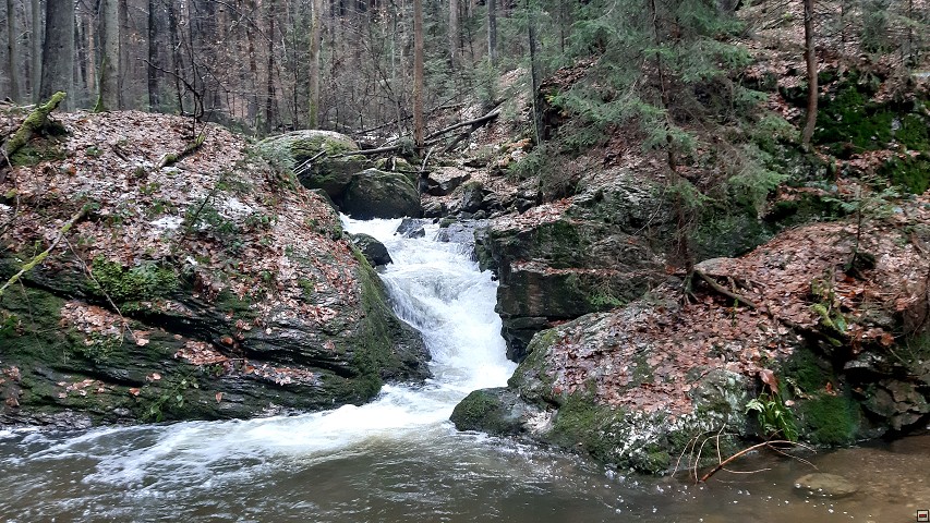 img00018.jpg