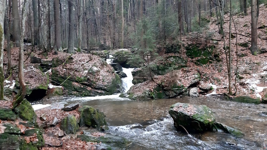 img00019.jpg