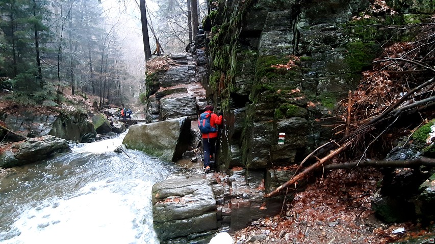 img00022.jpg