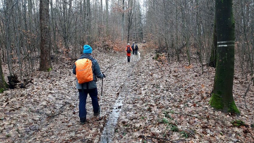 img00031.jpg