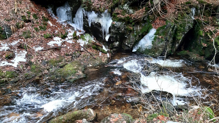 img00050.jpg