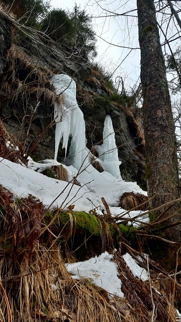img00055.jpg