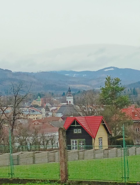 img00007.jpg