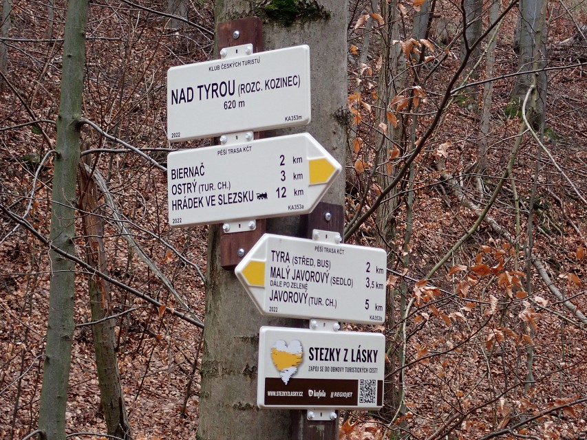 img00005.jpg