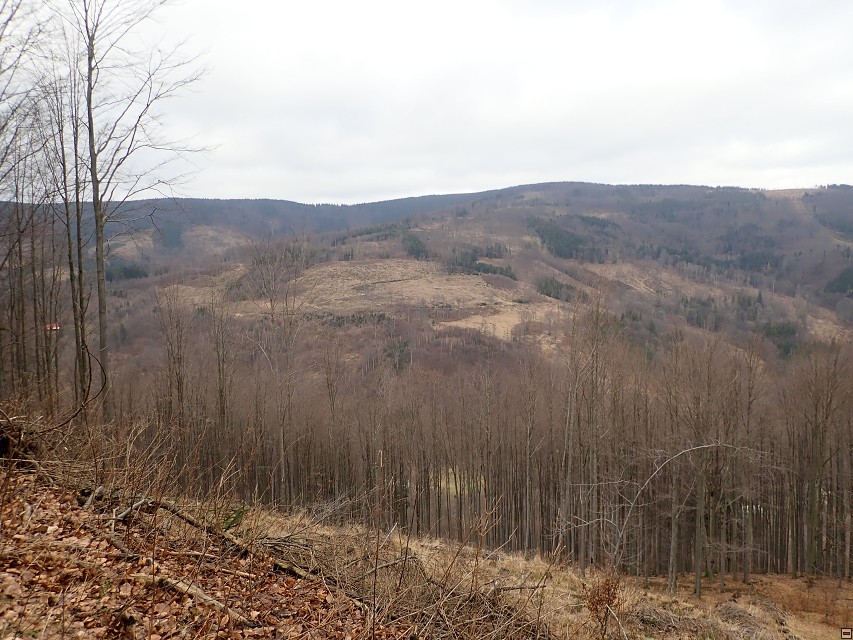 img00008.jpg