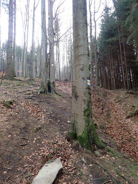 img00012.jpg