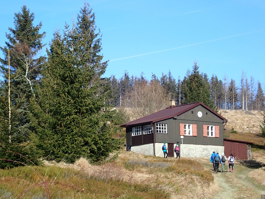 img00028.jpg