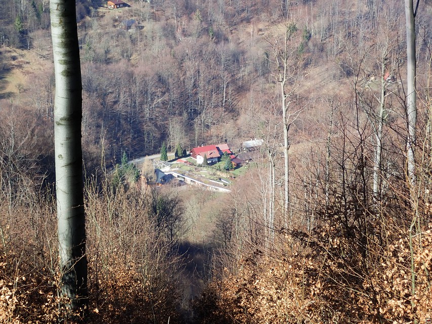 img00037.jpg