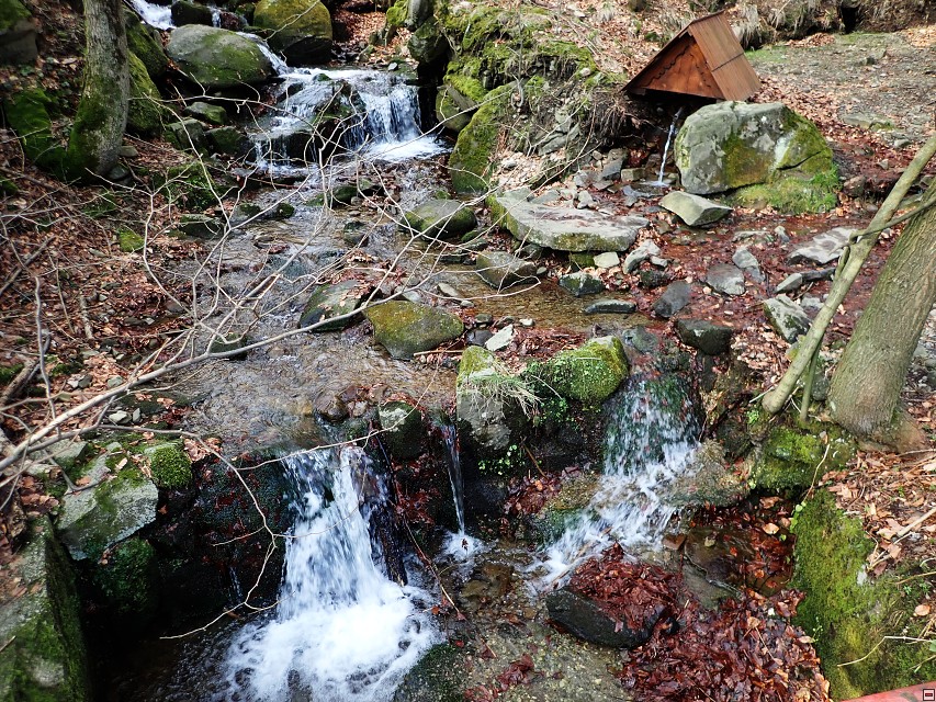 img00039.jpg