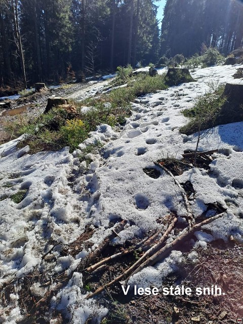 img00044.jpg
