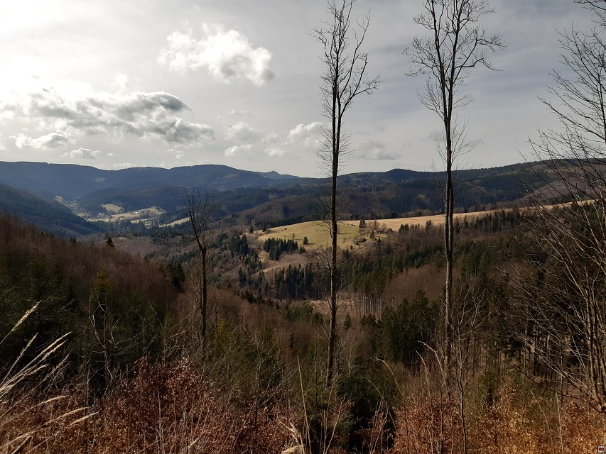 img00020.jpg