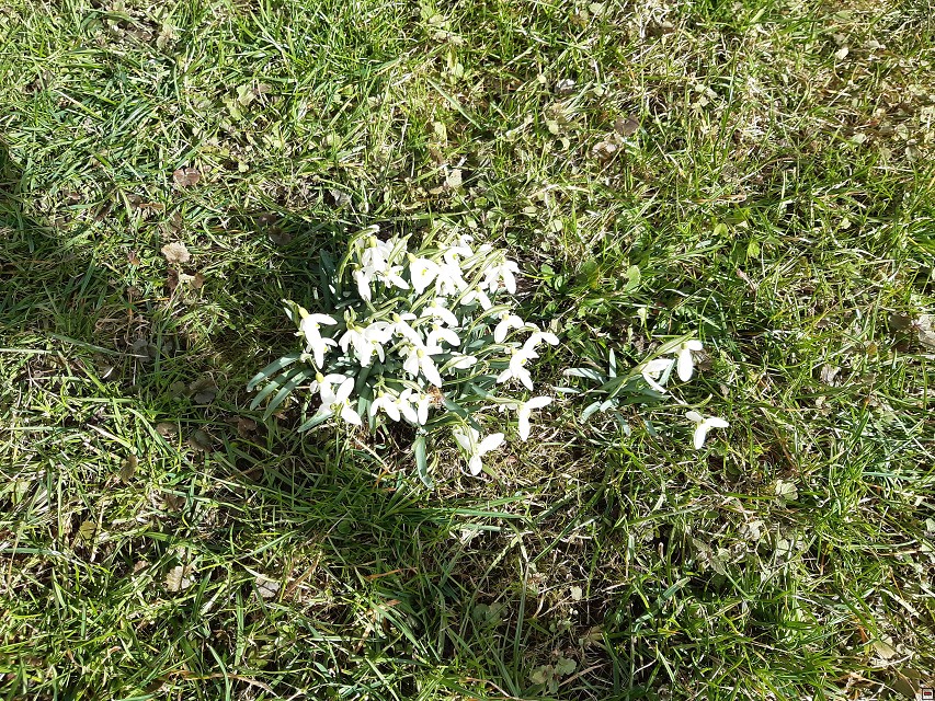 img00027.jpg