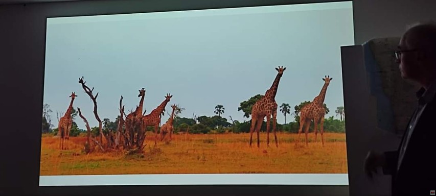 img00015.jpg