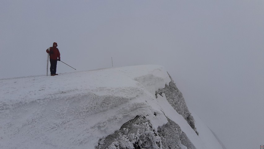img00006.jpg
