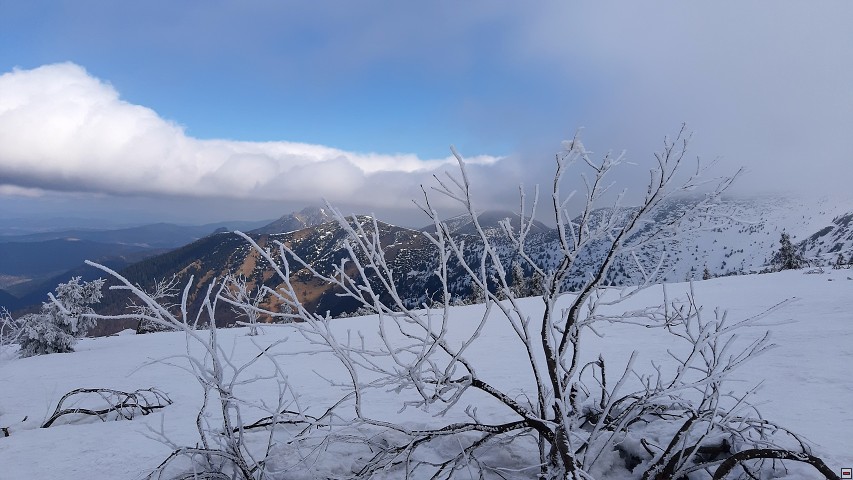 img00008.jpg