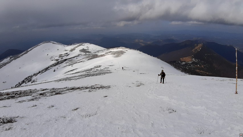 img00013.jpg