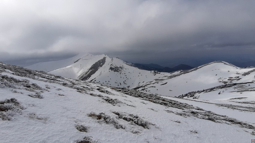 img00014.jpg