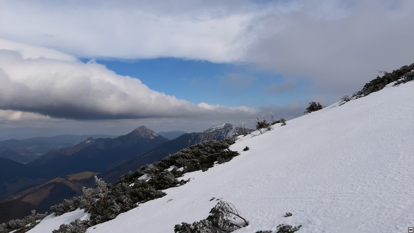 img00016.jpg