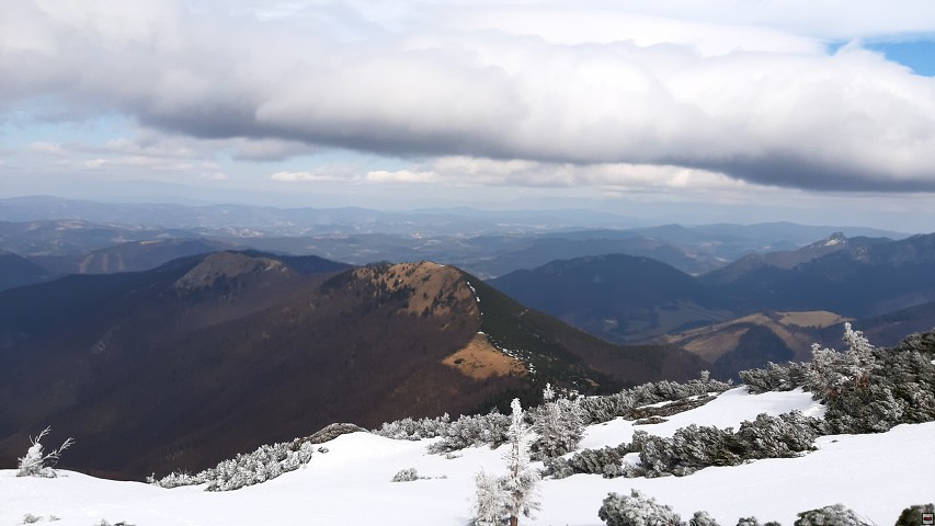 img00017.jpg