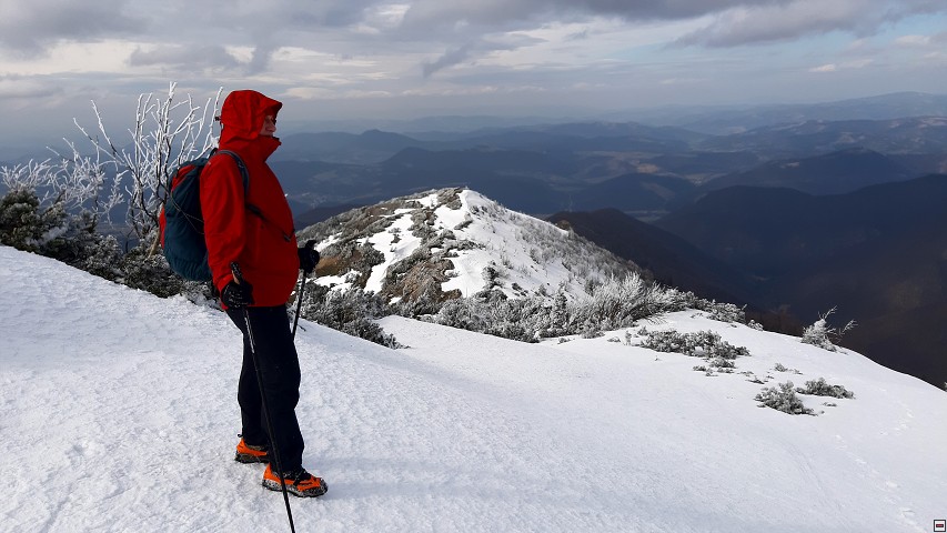 img00018.jpg