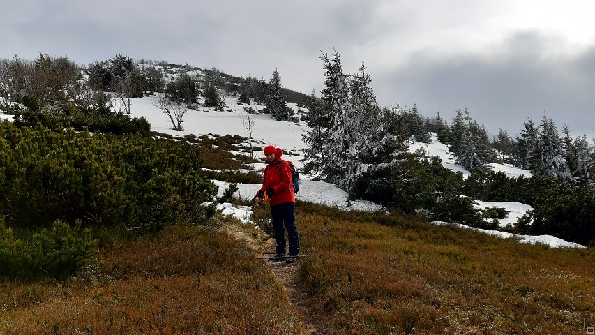 img00020.jpg