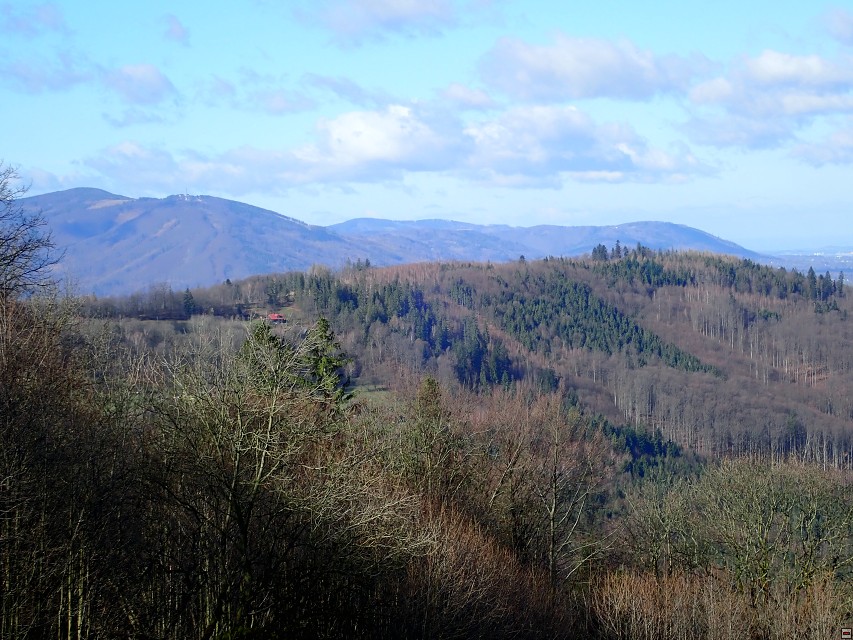 img00016.jpg
