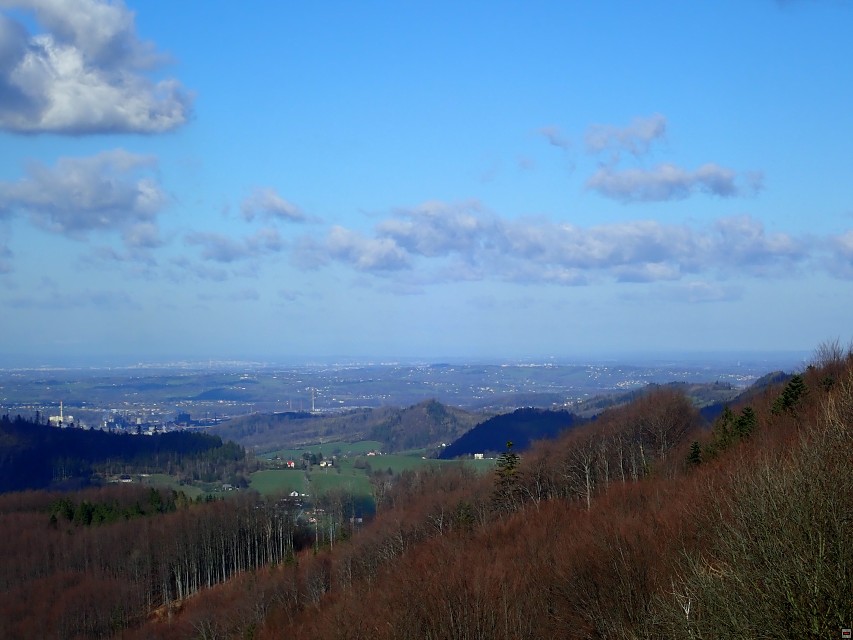 img00017.jpg
