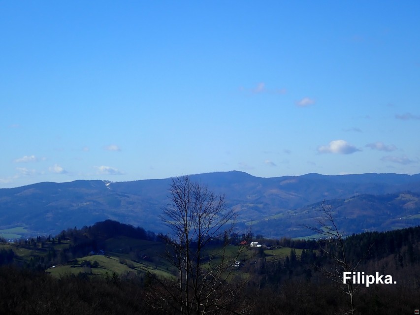 img00022.jpg