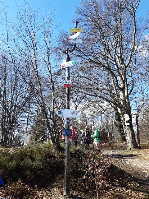img00030.jpg