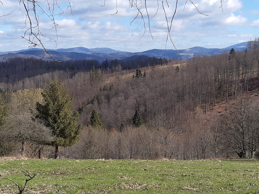 img00051.jpg