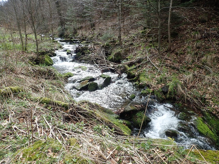 img00055.jpg